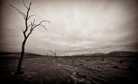 desolate