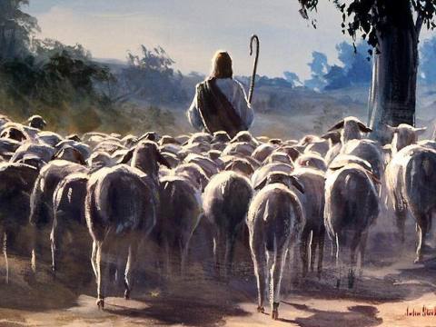 Shepherd
