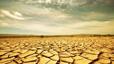 ???????????????????????????