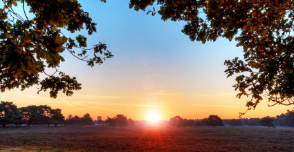 before the sun's rising