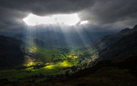 light in the shadows