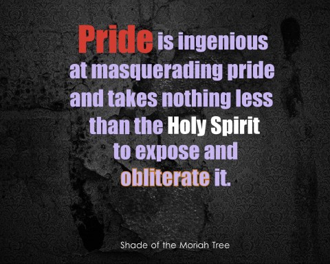 Pride Masquerading Pride