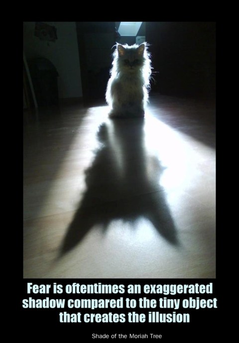 Fear